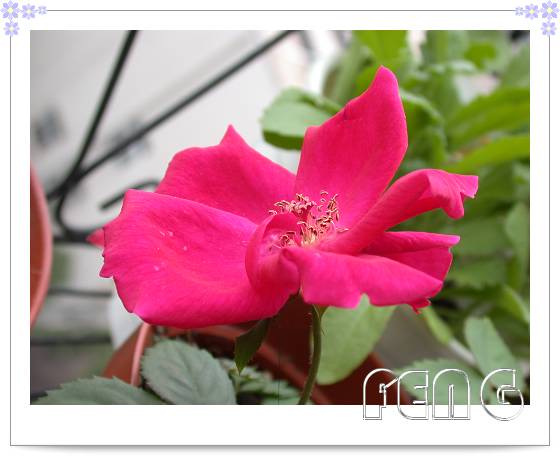 ���������¼��� ���ڶ��仨��