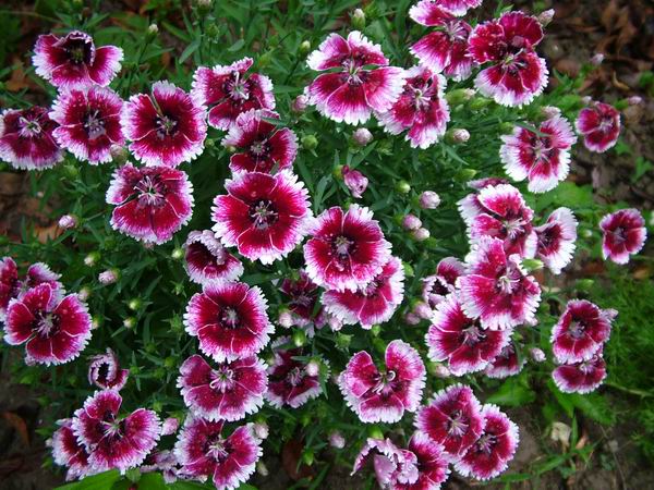 ż�Ļ���ż��Ժ��