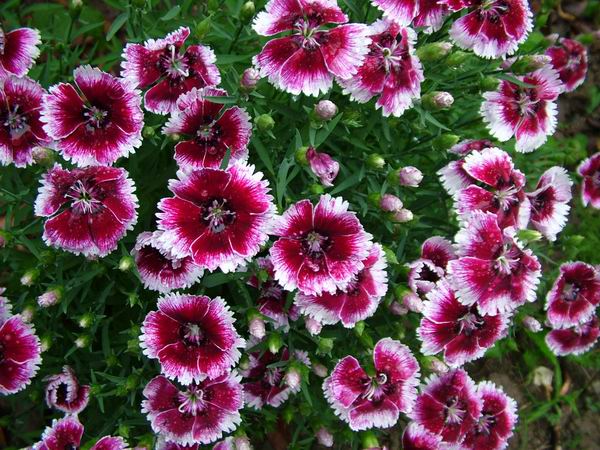 ż�Ļ���ż��Ժ��