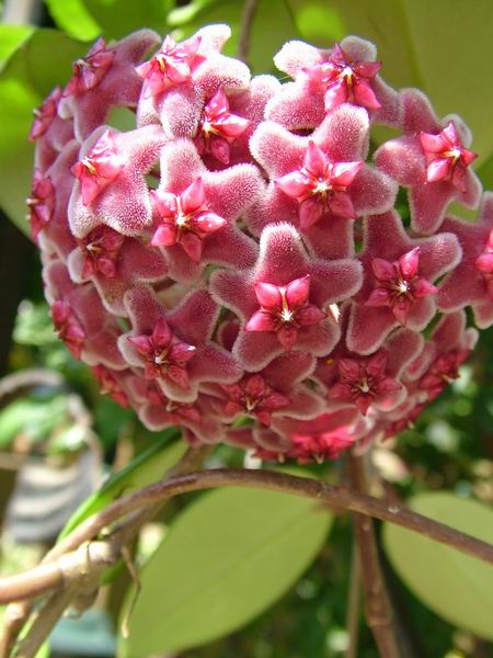 ż�Ļ���ż��Ժ��