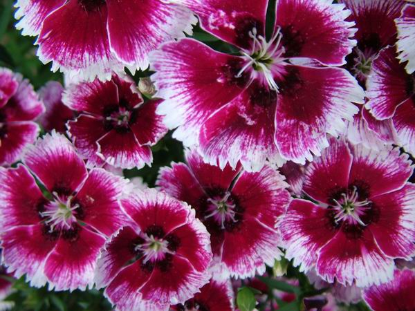 ż�Ļ���ż��Ժ��