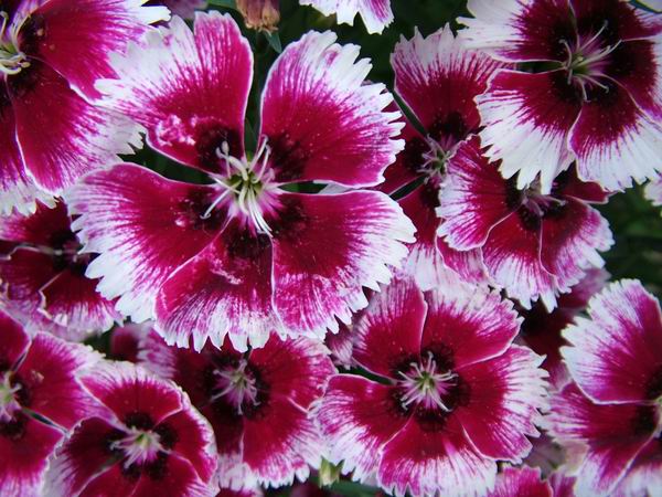 ż�Ļ���ż��Ժ��