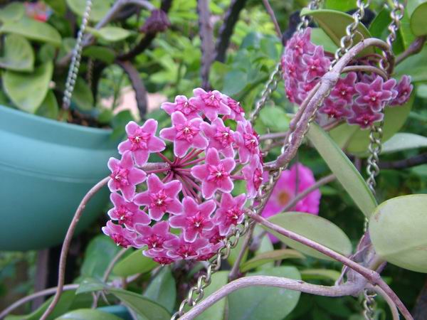 ż�Ļ���ż��Ժ��