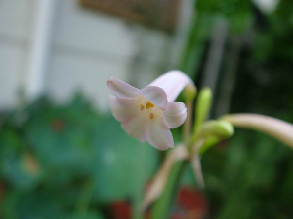 ż�Ļ���ż��Ժ��