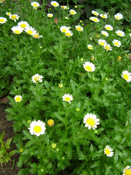 ż�Ļ���ż��Ժ��