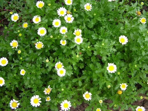 ż�Ļ���ż��Ժ��