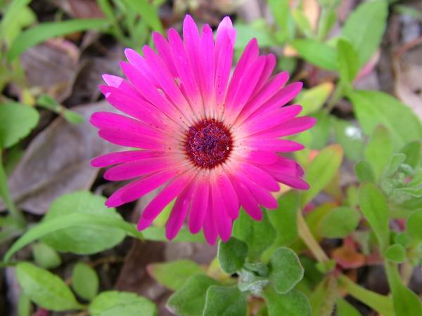 ż�Ļ���ż��Ժ��