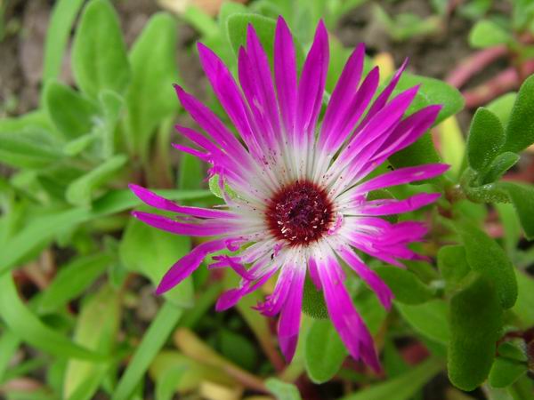 ż�Ļ���ż��Ժ��