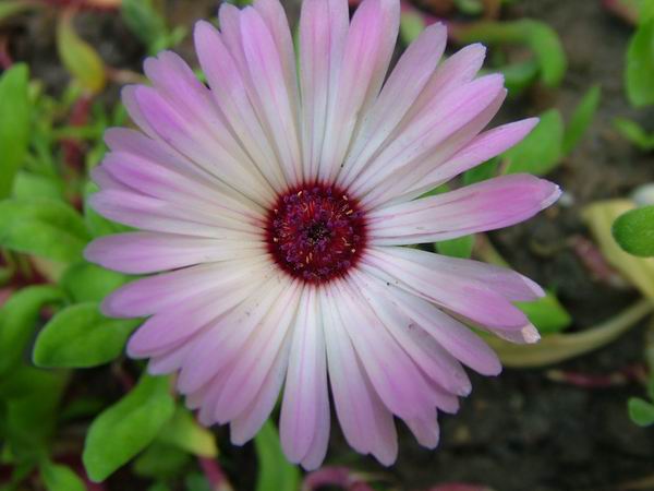 ż�Ļ���ż��Ժ��