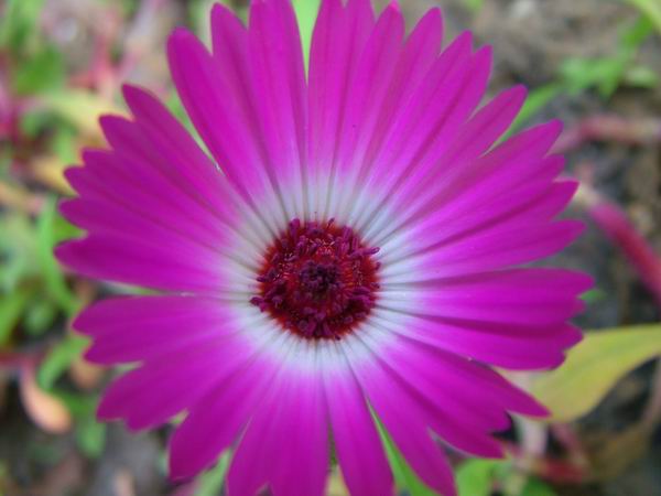 ż�Ļ���ż��Ժ��