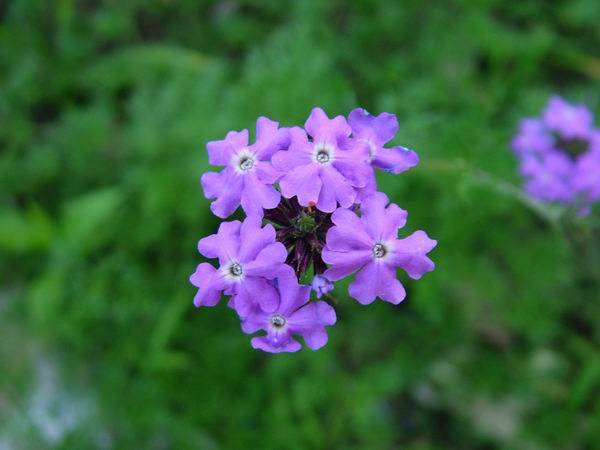 ż�Ļ���ż��Ժ��