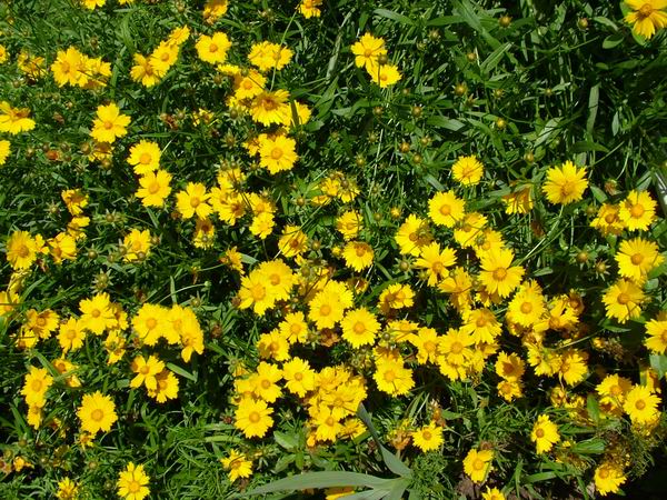 ż�Ļ���ż��Ժ��