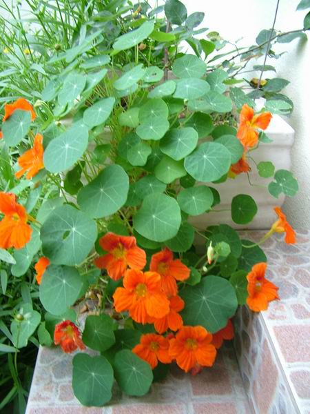 ż�Ļ���ż��Ժ��