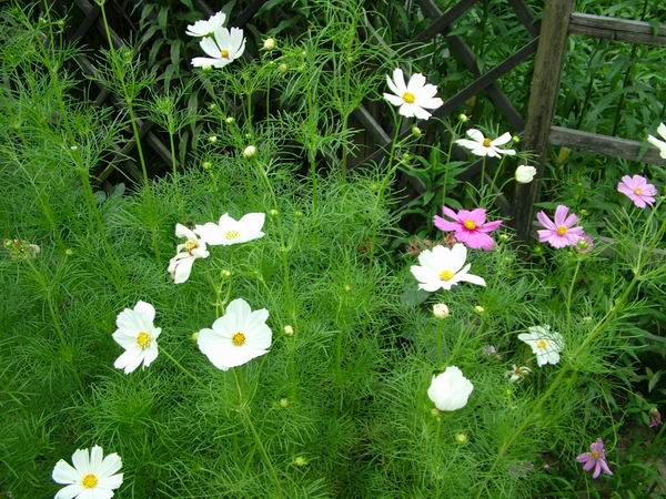 ż�Ļ���ż��Ժ��