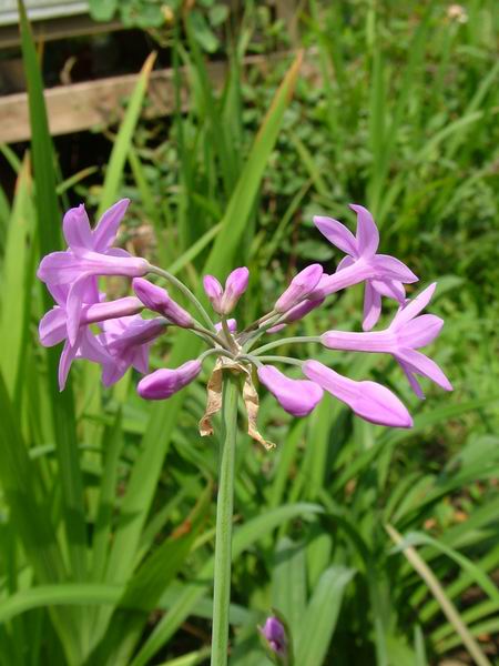 ż�Ļ���ż��Ժ��