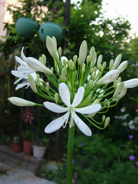 ż�Ļ���ż��Ժ��