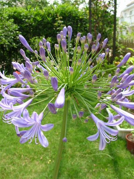 ż�Ļ���ż��Ժ��