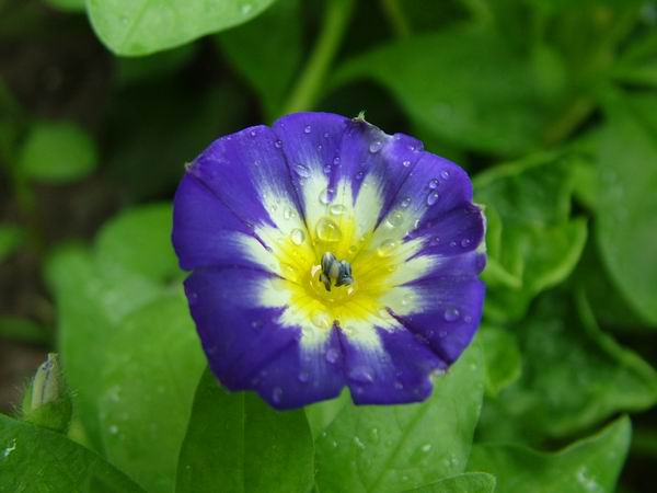 ż�Ļ���ż��Ժ��