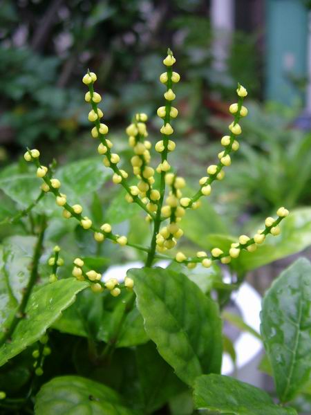 ż�Ļ���ż��Ժ��