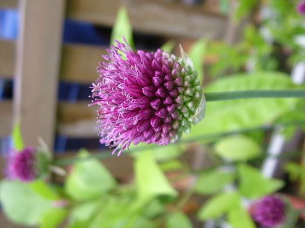 ż�Ļ���ż��Ժ��