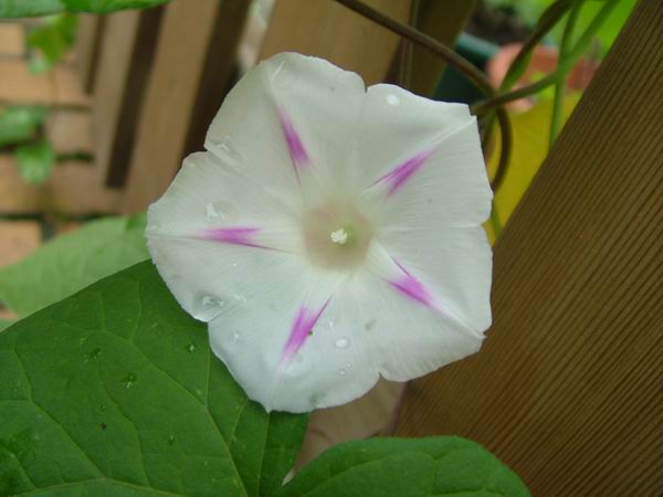 ż�Ļ���ż��Ժ��