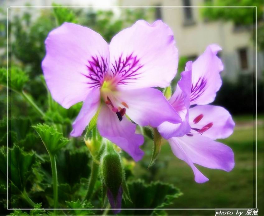 �����ķ���,���ÿ�(�����˲������Ĵ�����P7)