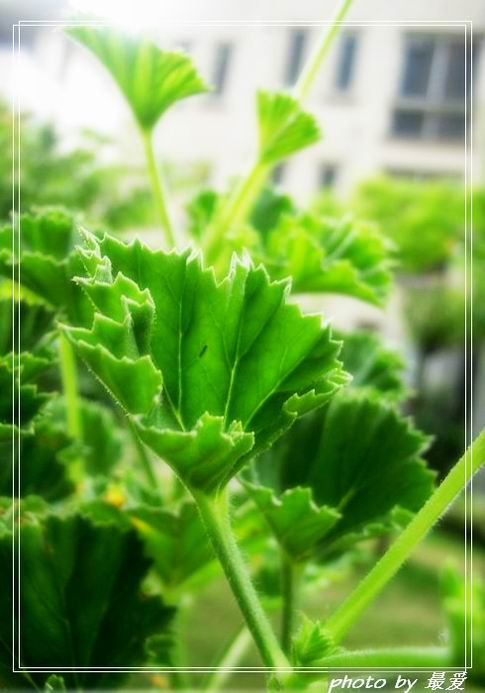 �����ķ���,���ÿ�(�����˲������Ĵ�����P7)