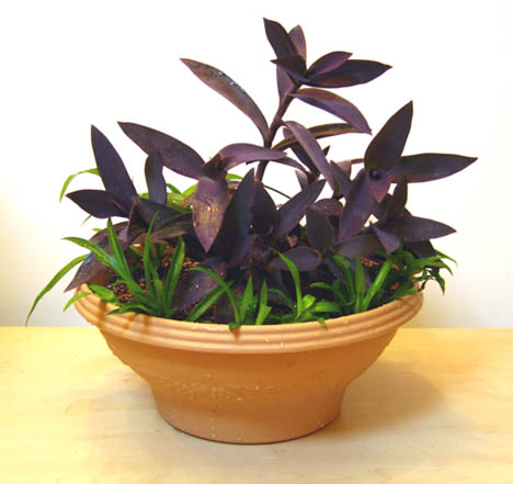 �ҵ�����