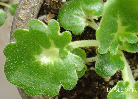 ����Ů�~�ý���