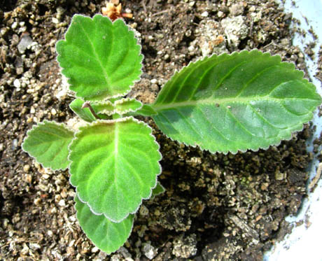 ����Ů�~�ý���