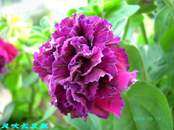 ����24�ո���ţ����һ���»�ɫ5.30��ţţ�ֿ��»�ɫ