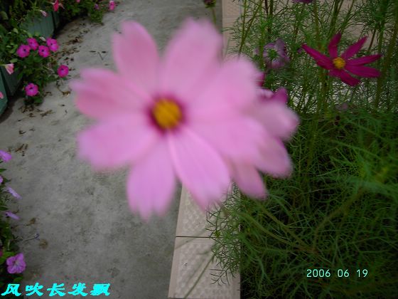 ����24�ո���ţ����һ���»�ɫ5.30��ţţ�ֿ��»�ɫ