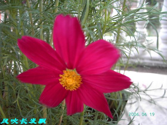 ����24�ո���ţ����һ���»�ɫ5.30��ţţ�ֿ��»�ɫ