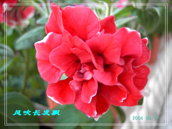 ����24�ո���ţ����һ���»�ɫ5.30��ţţ�ֿ��»�ɫ