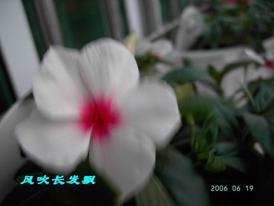 ����24�ո���ţ����һ���»�ɫ5.30��ţţ�ֿ��»�ɫ