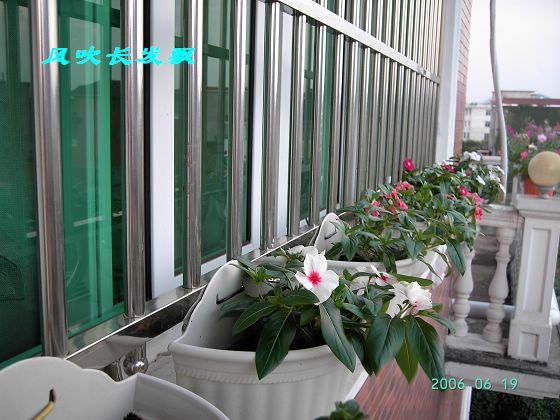 ����24�ո���ţ����һ���»�ɫ5.30��ţţ�ֿ��»�ɫ