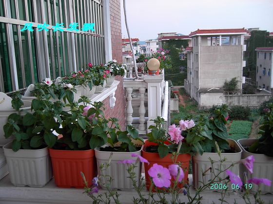 ����24�ո���ţ����һ���»�ɫ5.30��ţţ�ֿ��»�ɫ