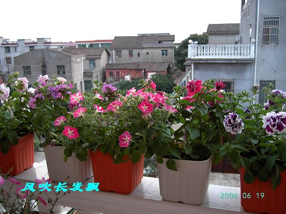 ����24�ո���ţ����һ���»�ɫ5.30��ţţ�ֿ��»�ɫ