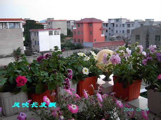 ����24�ո���ţ����һ���»�ɫ5.30��ţţ�ֿ��»�ɫ