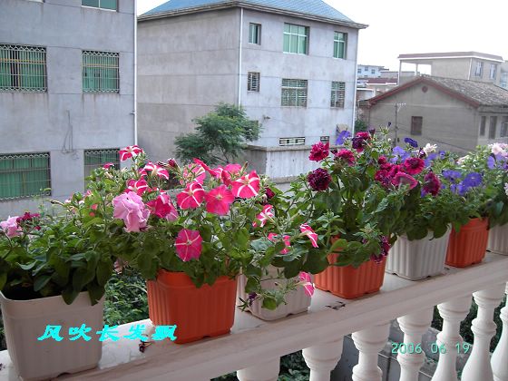 ����24�ո���ţ����һ���»�ɫ5.30��ţţ�ֿ��»�ɫ