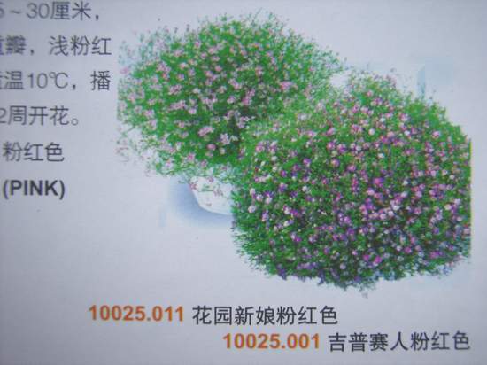 6��19��  ���ջ�֮���� P16  ����   *-*����Ļ�԰*-*