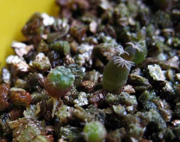 [��ͼ]�Ӷ��翪ʼ