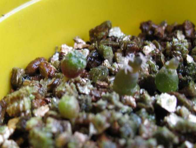 [��ͼ]�Ӷ��翪ʼ