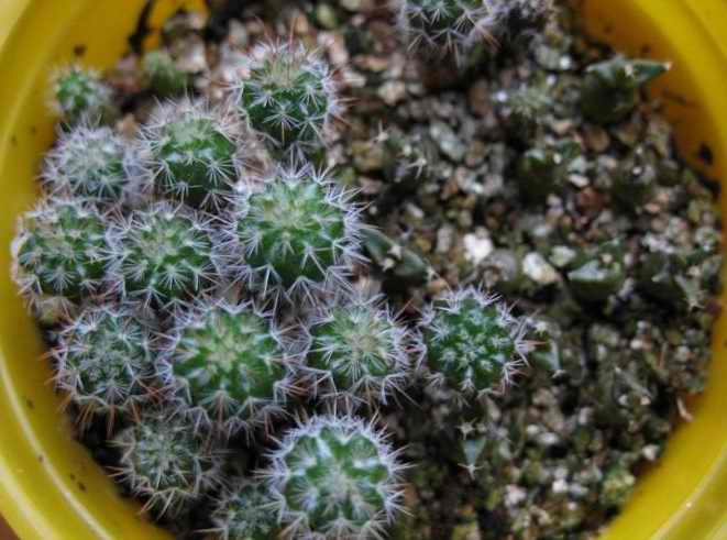 [��ͼ]�Ӷ��翪ʼ