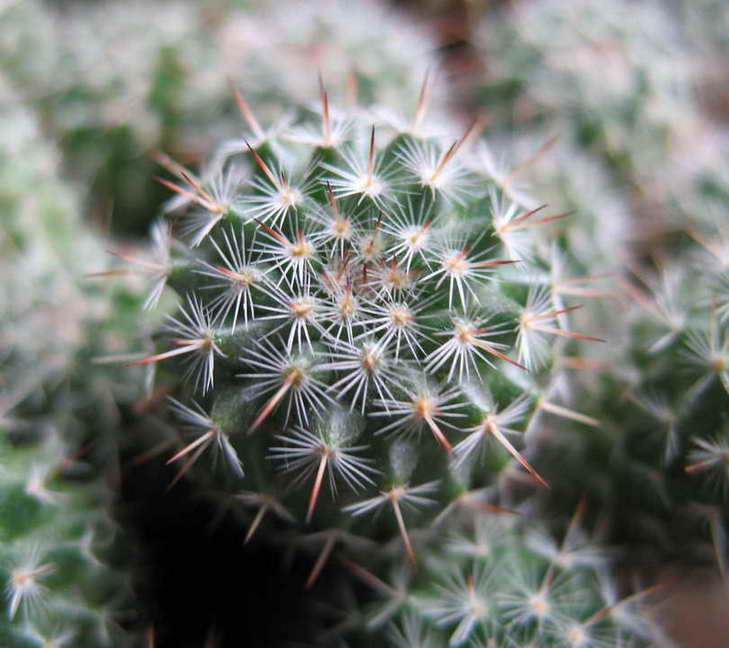 [��ͼ]�Ӷ��翪ʼ