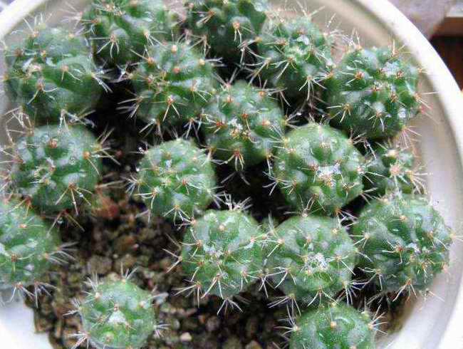 [��ͼ]�Ӷ��翪ʼ