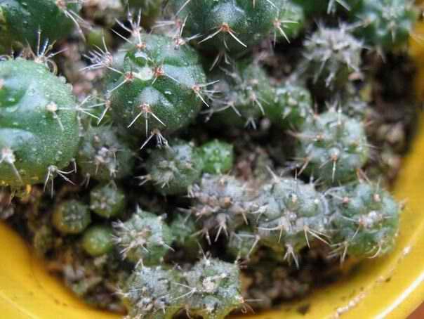 [��ͼ]�Ӷ��翪ʼ