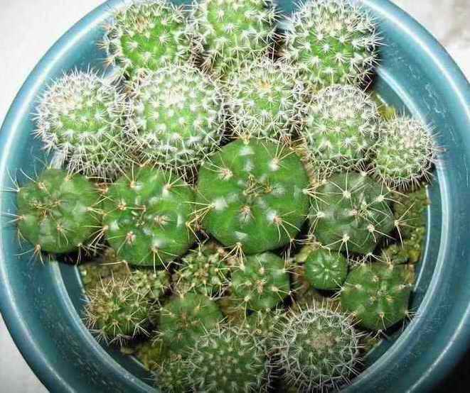 [��ͼ]�Ӷ��翪ʼ