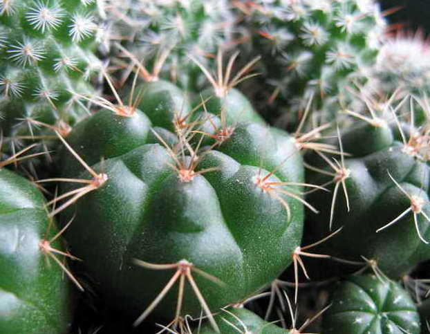 [��ͼ]�Ӷ��翪ʼ