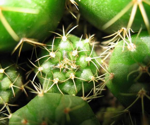 [��ͼ]�Ӷ��翪ʼ